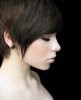 cute_hair_cut_161608_492_600_large.jpg