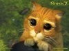 cute-wallpaper-shrek-2-puss-001.jpg