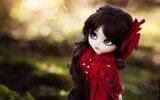 doll-toy-brunette-hd-wallpaper.jpg