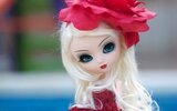 doll-toy-look-flower-hd-wallpaper.jpg