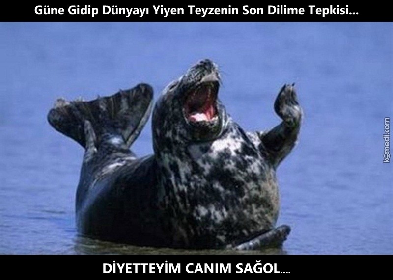 diyetteyim-canim-yhaaa_o_11866.jpg