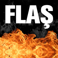 flas_200x200.jpg