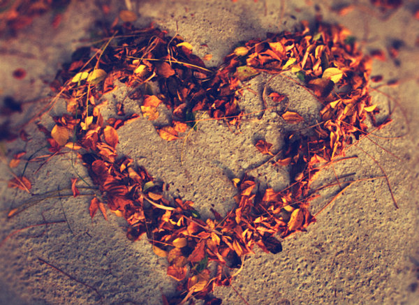 autumn-fotography-heart-love-you-Favim.com-52095.jpg