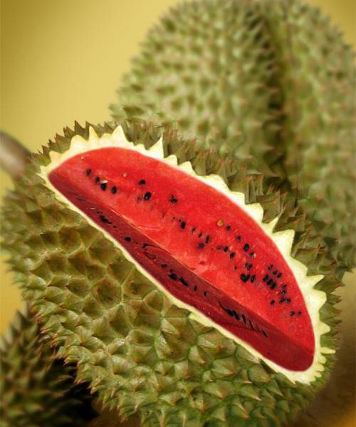 fruits_13.jpg