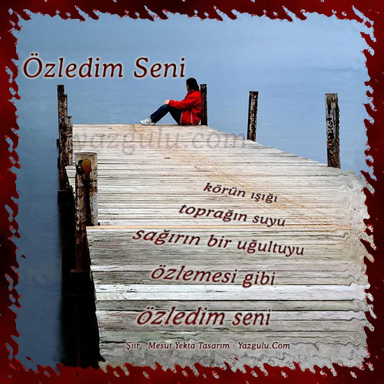 ozledim_seni.jpg