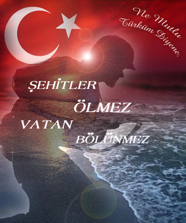 sehit-asker-vatan-bayrak-turk-bozkurt-mehmetcik.jpg