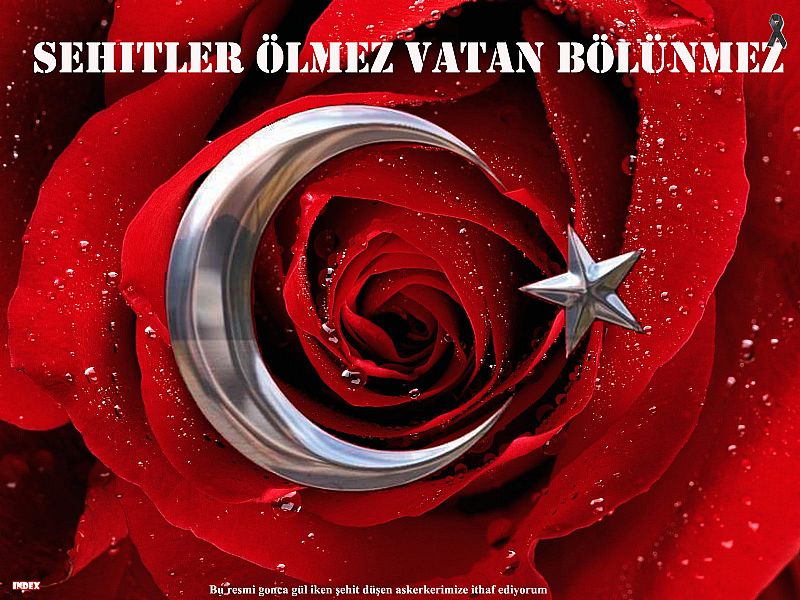 sehit-asker-vatan-bayrak-turk-bozkurt-mehmetcik33.jpg